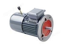 YEJ系列電磁制動(dòng)三相異步電動(dòng)機(jī)