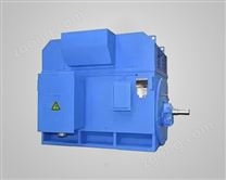 變頻調(diào)速高壓電動(dòng)機(jī)