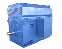 定制高壓電動(dòng)機(jī)