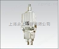Ed-50/12電力液壓推動(dòng)器（上海永上起重電器廠）